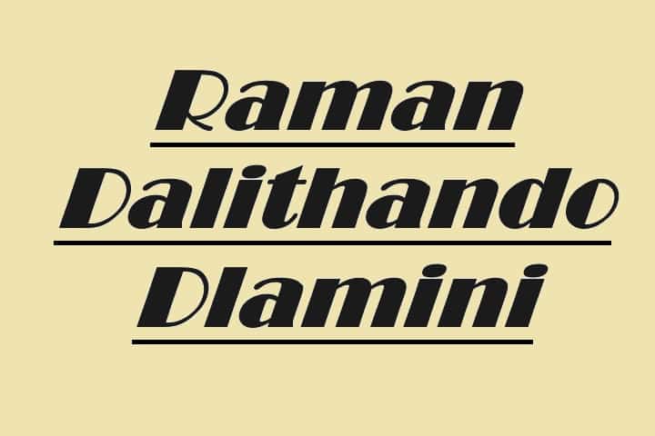 Who Is Doja Cat's Brother Raman Dalithando Dlamini?