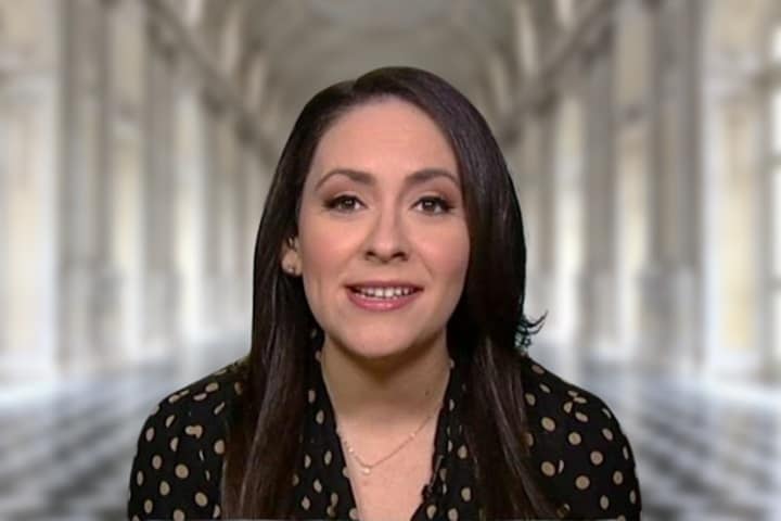 Xochitl Hinojosa's Wikipedia